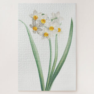 Puzzle Narciso, Pierre-Joseph Redouté, 1805