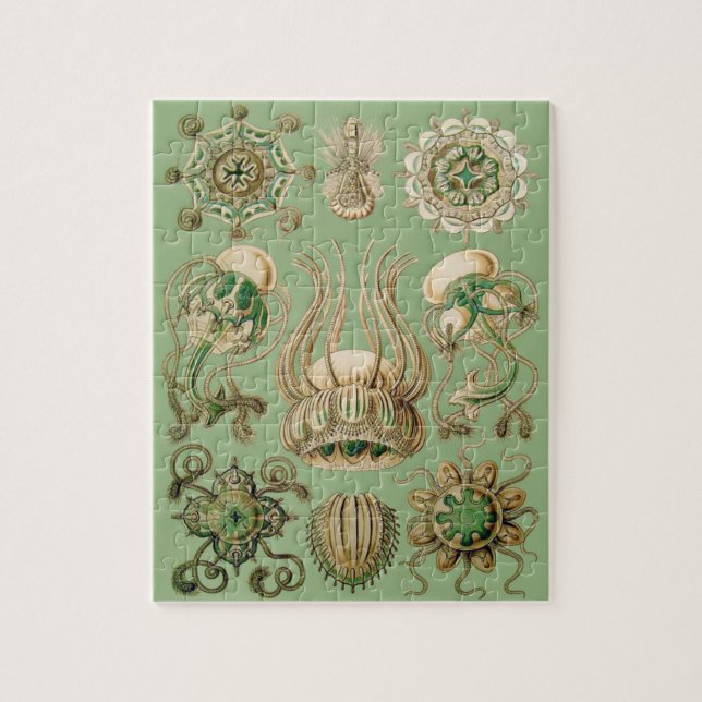 Puzzle Narcomedusae de Ernst Haeckel (Vertical)