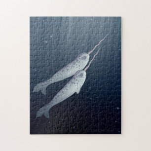 Puzzle Narwhals lindo que nada junto bajo el agua