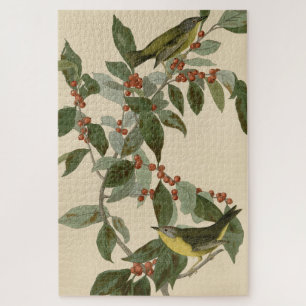 Puzzle Nashville Warbler de Aves de América de Audubon