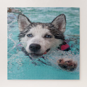 Puzzle Natación