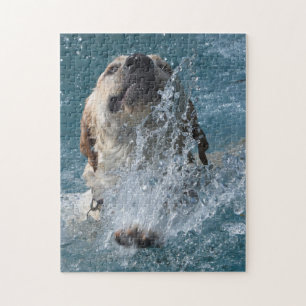Puzzle Natación amarilla del labrador retriever