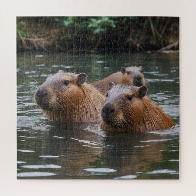 Puzzle Natación De Capybaras En El Río, (Vertical)