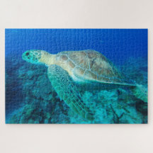 Natación de tortuga marina 20"x30"