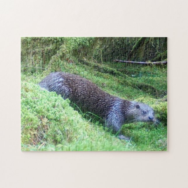Puzzle Natura Fauna Ribereña de Nutria Tranquila (Horizontal)