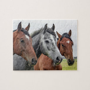 Puzzle Naturaleza animal de la granja de caballos