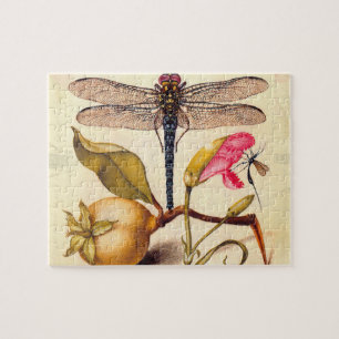 Puzzle Naturaleza Botánica Libélula Fauna Hoefnagel Arte