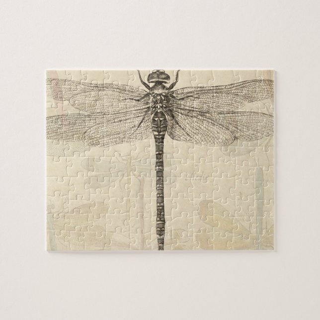 Puzzle Naturaleza clásica de la época de la libélula (Horizontal)
