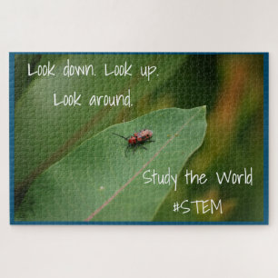 Puzzle Naturaleza de la hoja de insecto STEM