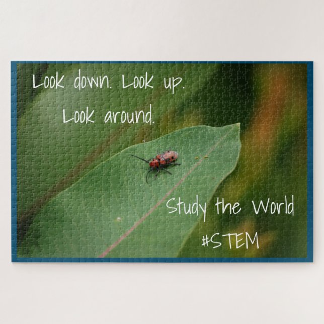 Puzzle Naturaleza de la hoja de insecto STEM (Horizontal)