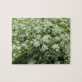 Puzzle Naturaleza de las flores blancas de Cow Parsley