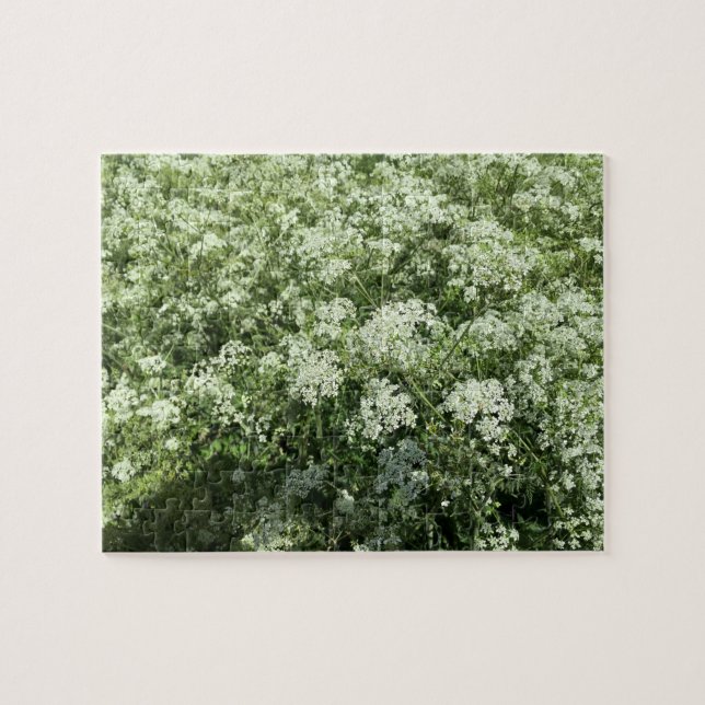 Puzzle Naturaleza de las flores blancas de Cow Parsley (Horizontal)