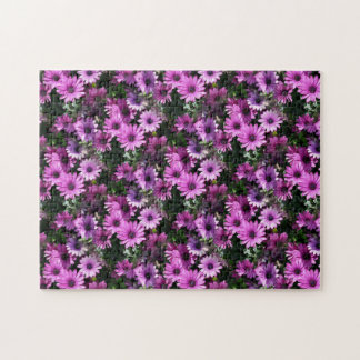 Puzzle Naturaleza de las flores de margarita africanas