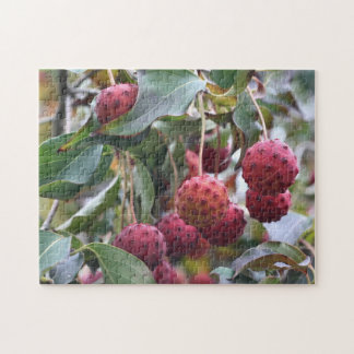 Puzzle Naturaleza de los frutos de dogwood rojos