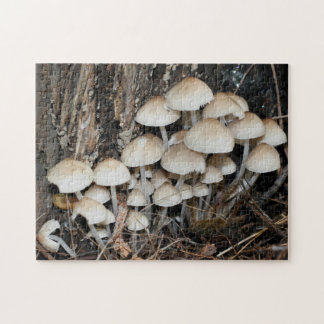 Puzzle Naturaleza de los hongos silvestres blancos