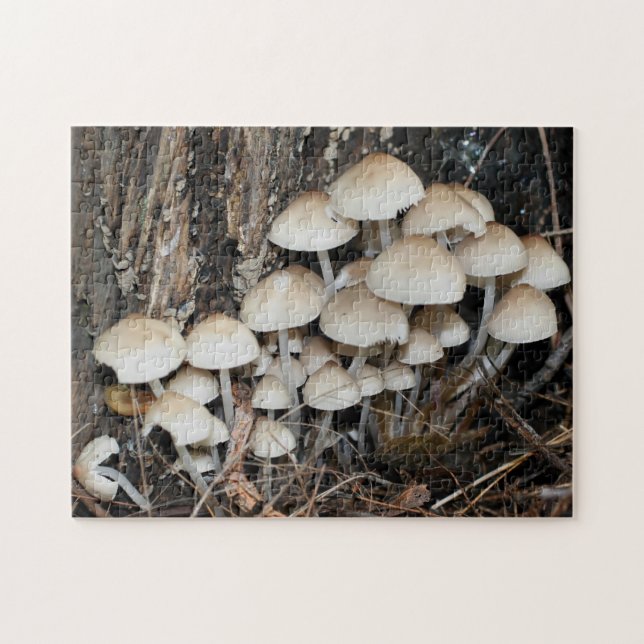Puzzle Naturaleza de los hongos silvestres blancos  (Horizontal)
