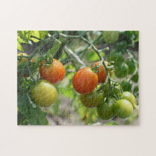 Puzzle Naturaleza de los tomates de cerezo