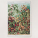 Puzzle Naturaleza del Ilustracion de cosecha artística Er<br><div class="desc">Naturaleza del Ilustracion de cosecha artística Ernst Haeckel Puzzle</div>