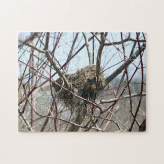 Puzzle Naturaleza del nido de aves de primavera abandonad