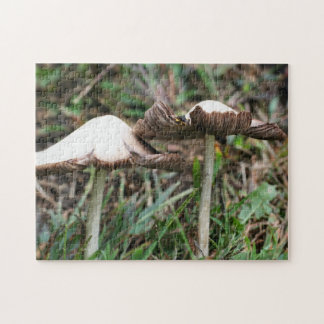 Puzzle Naturaleza del par de hongos blancos
