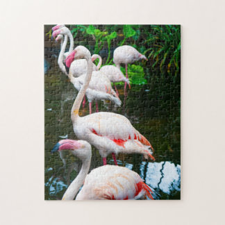 Puzzle Naturaleza Flamingo