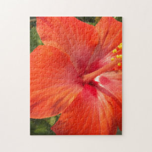 Puzzle naturaleza, hibisco, flor, verano, floral, tropica