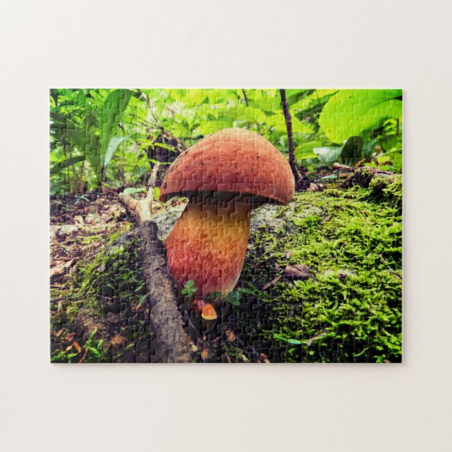 Puzzle Naturaleza vibrante | Rey Bolete (Horizontal)