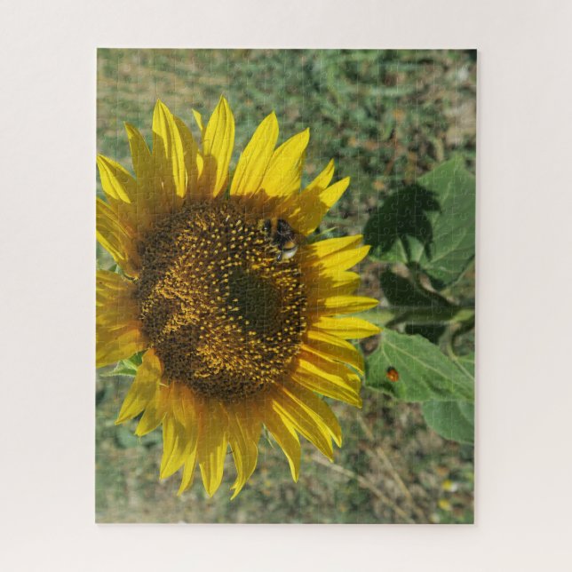 Puzzle nature, flower, summer, sunflower, blossom,  (Vertical)