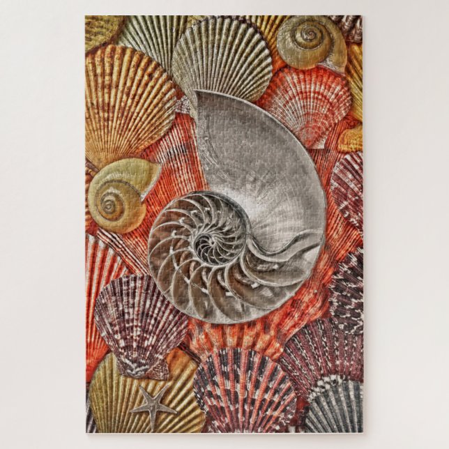 Puzzle Nautilus y conchas (Vertical)