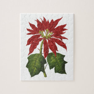 Puzzle Navidad Vintage, Planta Invernal de Poinsettia Roj