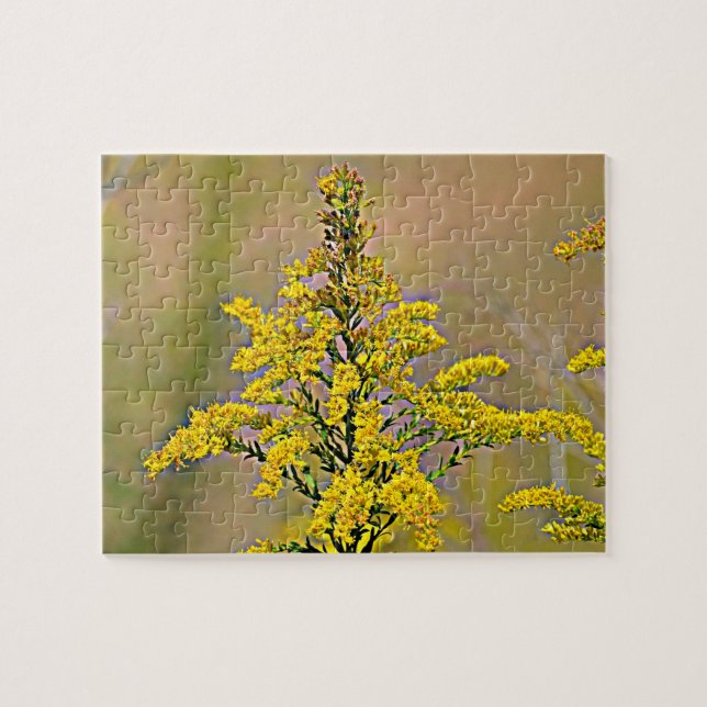 Puzzle Nebraska Goldenrod (Horizontal)