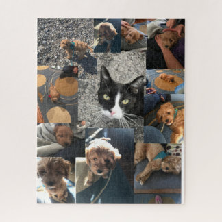 Puzzle Neco y nutmeg
