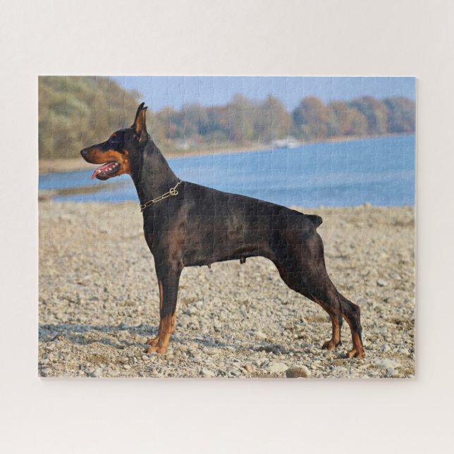 Puzzle Negro y Tan Doberman Pinscher en la costa (Horizontal)