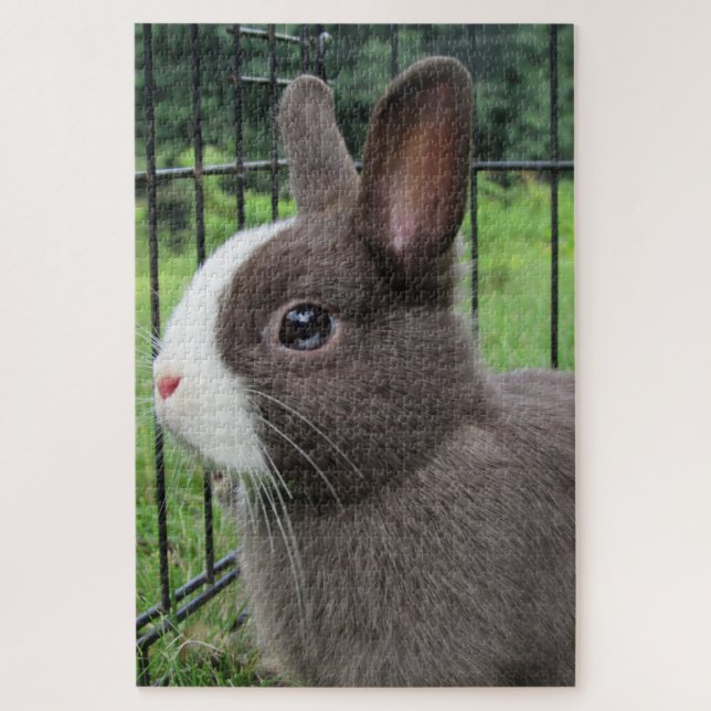 Puzzle Neitherland Mascota Conejo Conejo Jigsaw Rompecabe (Vertical)