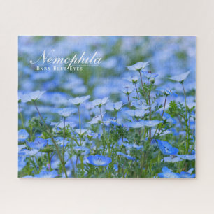 Puzzle NEMOPHILA(Ojos Azules Bebé)