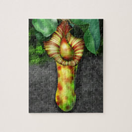 Puzzle Nepenthes, Ilustracion de planta de cocina