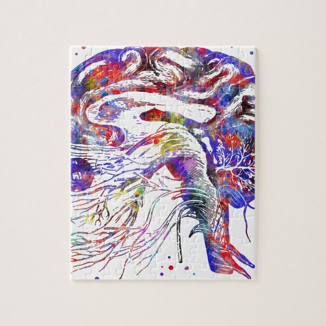 Puzzle Nervios craneales del cerebro, nervios craneales (Vertical)