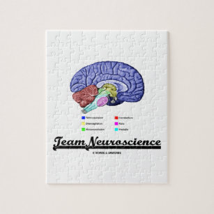 Puzzle Neurología del equipo (actitud de la anatomía del