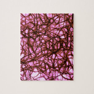 Puzzle Neuronas