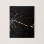 Puzzle Neuroscience, neuron , science<br><div class="desc">This image is original,  the result of hard work in the development of my thesis.</div>