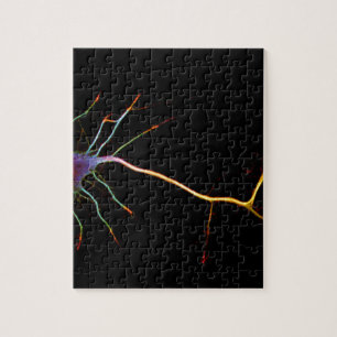 Puzzle Neuroscience, neuron , science