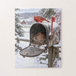 Puzzle Nido de cardenal en un buzón nevado