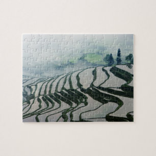Puzzle Niebla de la mañana sobre campos del arroz