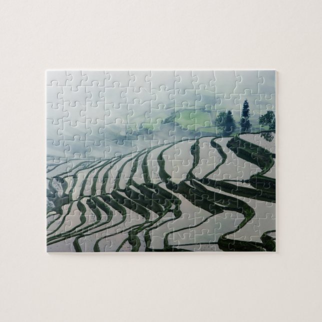 Puzzle Niebla de la mañana sobre campos del arroz (Horizontal)