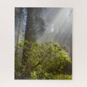 Puzzle Niebla matutina en Rhododendron