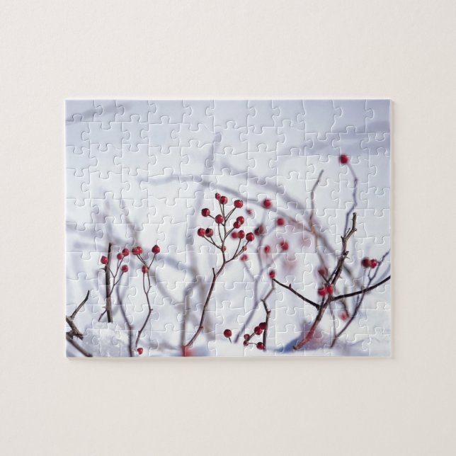 Puzzle Nieve blanca de invierno en las Berries Rojas (Horizontal)