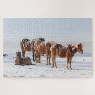 Puzzle Nieve cubierta de caballos islandeses