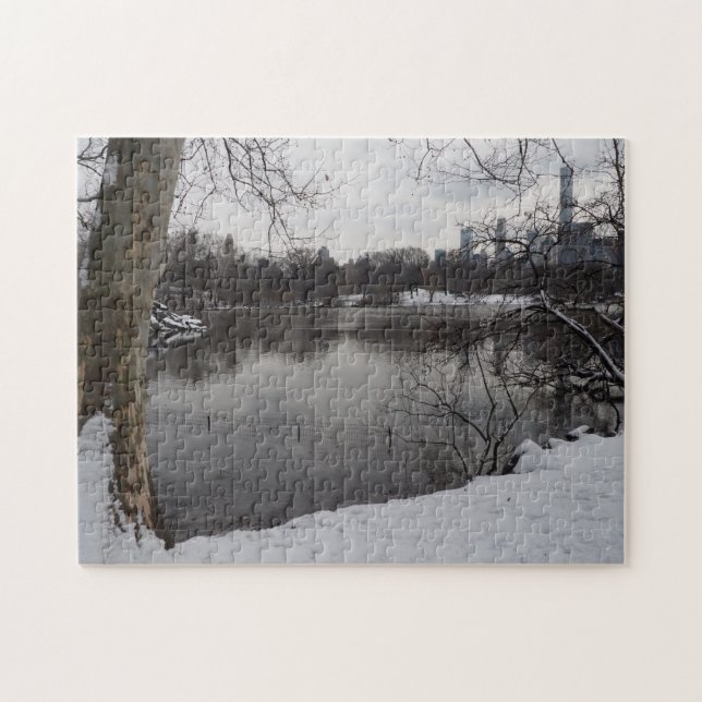Puzzle Nieve de invierno en Central Park New York City NY (Horizontal)