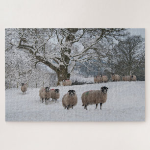 Puzzle Nieve de oveja