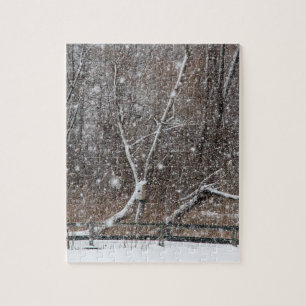 Puzzle Nieve en el parque